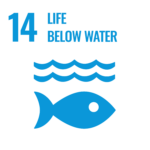 SDG_Icons_Inverted_Transparent_WEB-14